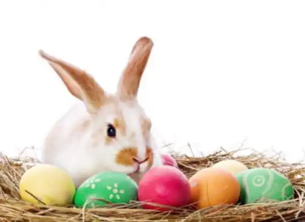 DJ SnAdEe-E - Festive Dance Mix 06 (Easter 2018)